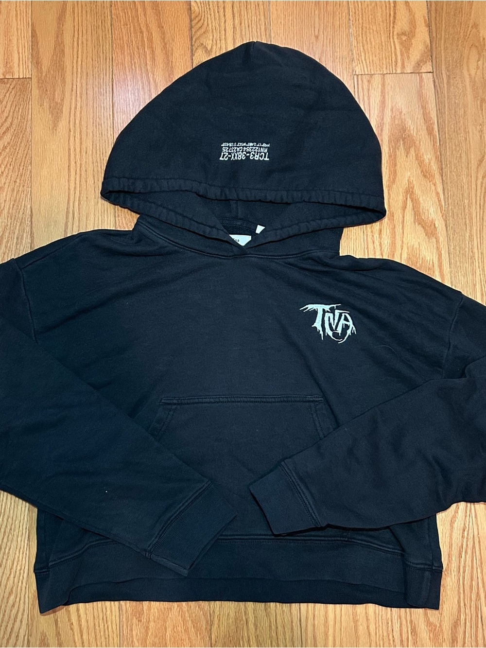 TNA Aritzia Hooded Pullover Sweatshirt with Small Chest Logo